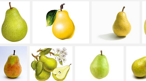 01 470x260 Create a realistic delicious pear   Illustrator tutorial