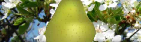 Create a realistic delicious pear - Illustrator tutorial