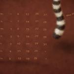 Adobe Creative Suite Toolbar Shortcut Wallpapers may 13 vladstudio preview 150x150 Adobe Creative Suite Toolbar Shortcut Wallpapers
