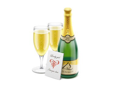 champagne_-soda_-bubbles_-wine-glasses_-holiday_-booze_-wine_-icon_-illustrator_-illustration_-vector_-card_-gift