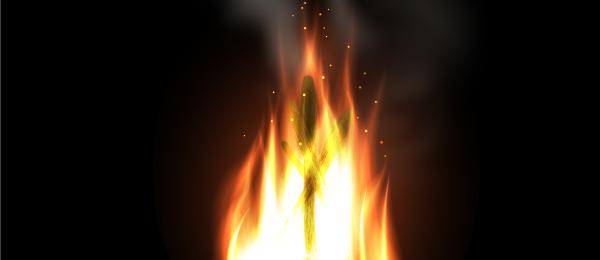 diana_bonfire_tut_final