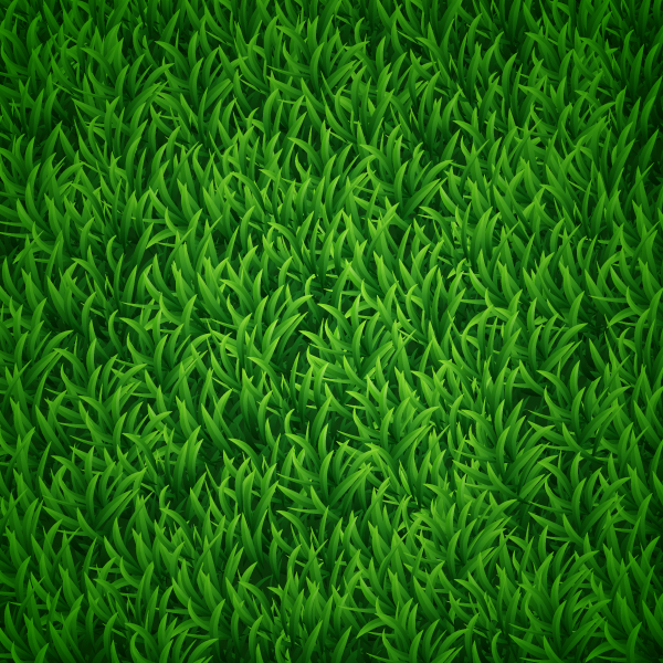 grass_bg