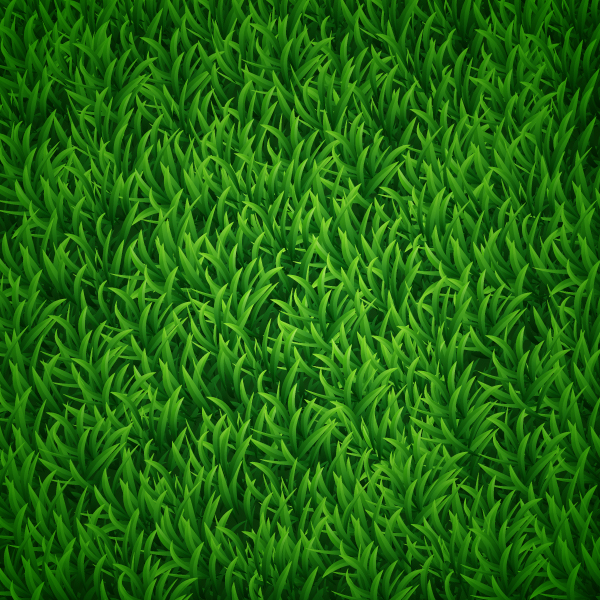 grass_bg