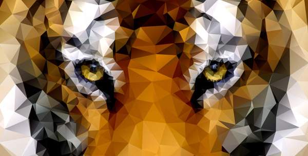 tiger-poly