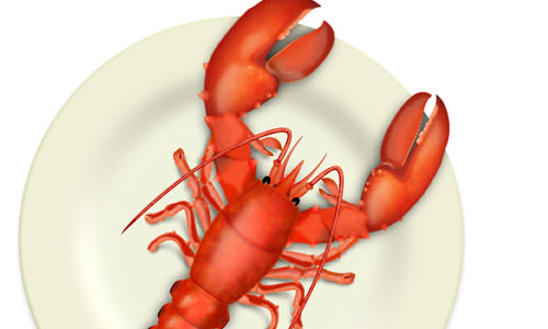 vector-lobster_mini