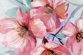 spring background 7 size