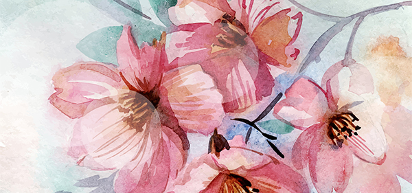 spring background 7 size