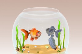 Fish_Bowl